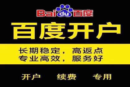 百度竞价广告的优化之路：某科技公司的成功经验